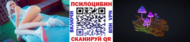 Псилоцибиновые грибы Psilocybe  Щёкино 