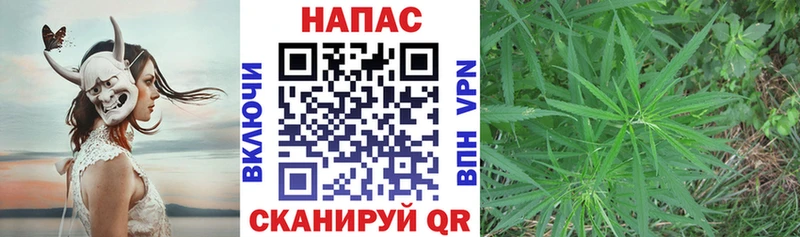 закладка  Щёкино  Каннабис семена 